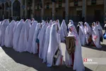 زیسرب