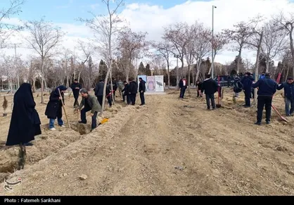 ۱۲۳۰۰ اصله درخت در استان سمنان به یاد رهبر شهید کاشته شد