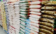 ترخیص ۱۵ هزار تن برنج از امروز