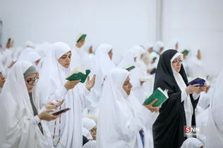 دبب