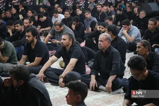دبب