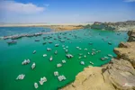 بریس