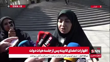 انصاری در پاسخ به SNNTV: موضوع دریاچه ارومیه با اولویت در دستورکار قرار دارد