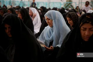 دبب