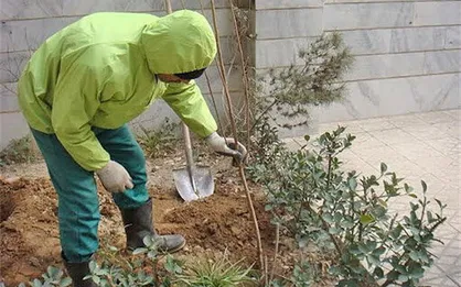 دانشگاهیان دانشگاه صنعتی همدان به نام خود درخت می&zwnj;کارند