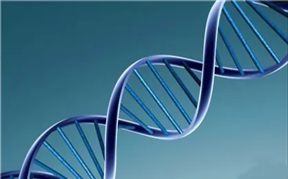 اوریگامی DNA جهت افزایش قدرت تفکیک تصویربرداری استفاده می&zwnj;شود
