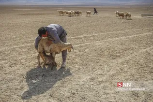 عشایر