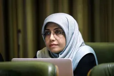 حل و فصل اختلافات شوراها در دستور کار/  تشریح آخرین اقدامات برای شهر جدید پردیس