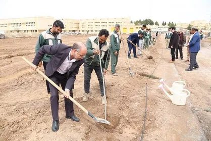 مشارکت دانشگاهیان در کاشت درخت در دانشگاه شهید باهنر
