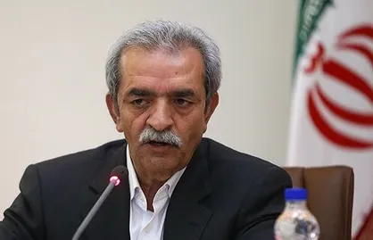 شافعی: سیستم مالیاتی کشور پاداش&zwnj;دهی به کار&zwnj;های غیرمولد بوده است