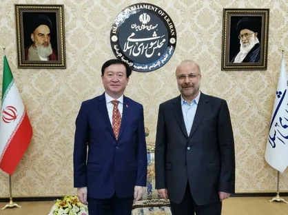 عکس| دیدار سفیر چین با رئیس مجلس شورای اسلامی