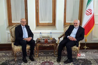 دیدار جواد ظریف با معاون وزیر امور خارجه هند