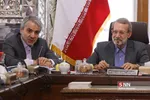 جلسه مشترک کمیسیون های ویژه حمایت از تولید ملی