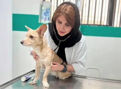 ویزیت&zwnj;های عجیب دامپزشکی&zwnj;ها/پدیده&zwnj;ای به نام ویزیت خشک و&zwnj; تر و سر کیسه کردن مردم&zwnj;