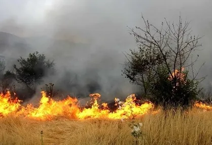 دلیل آتش&zwnj;سوزی در پارک چیتگر تهران مشخص شد