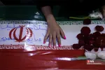 دبب