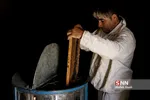 زنبور