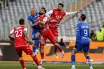 دبب