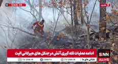 ادامه لکه‌گیری آتش در جنگل‌های هیرکانی الیت + فیلم