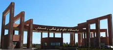 نشست صمیمی معاون فرهنگی و دانشجویی علوم پزشکی رفسنجان با دبیران انجمن‌های علمی برگزار شد