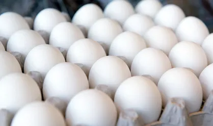 پرندگان مهاجر قیمت تخم مرغ را بالا بردند!