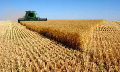 چالش امنیت غذایی کشور متاثر از تنش&zwnj;های زیستی است