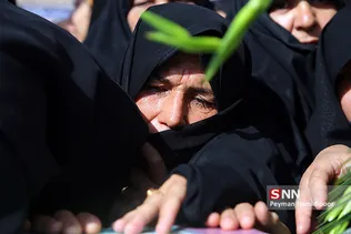 شهید
