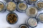 طرح ظفر ۱۳