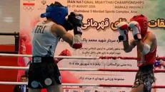 اعلام نفرات برتر مسابقات موی تای قهرمانی کشور؛ برترین‌ها در مسیر اردوی انتخابی تیم ملی