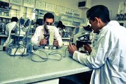 دانشجوی دانشگاه علوم پزشکی اصفهان به عنوان دانشجوی پژوهشگر برجسته انتخاب شد