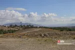 تخریب باغات