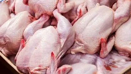 عرضه روزانه ۱۰۰ تُن گوشت مرغ تازه در میادین میوه و تره بار