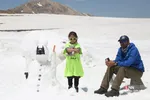 دبب