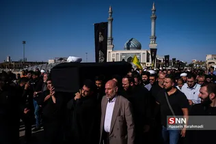 تشیع
