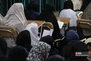 دبب