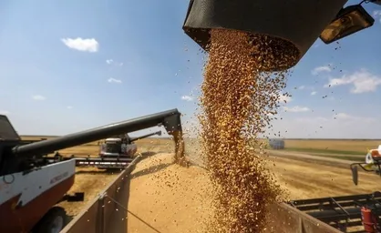 دستور رئیسی برای بررسی اصلاح قیمت خرید تضمینی گندم