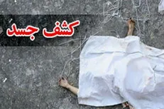 کشف 9 جسد داخل یک کامیون + عکس و فیلم