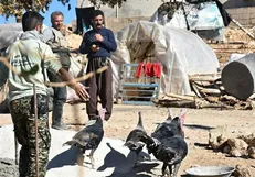 اردوی جهادی دانشگاه تفرش در مناطق زلزله‌زده کرمانشاه برگزار می‌شود