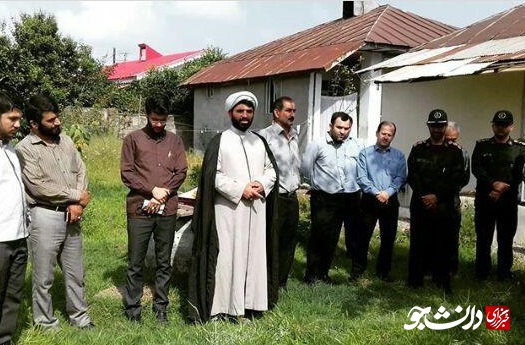 کبوتر رحمت