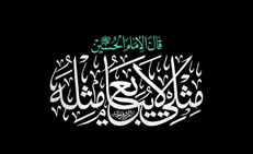 «مثلی لا یبایع مثله»، شعار اربعین ۱۴۰۵ شد