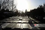 اهدا