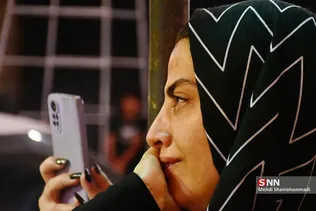 دبب