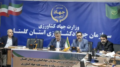 گلستانی‌ها سال گذشته ۳۶۵ هزار تن مرغ تولید کردند