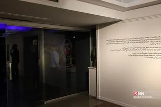 دبب