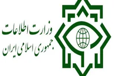 وزارت اطلاعات ادعاهای حمیدرضا نقاشیان را تکذیب کرد
