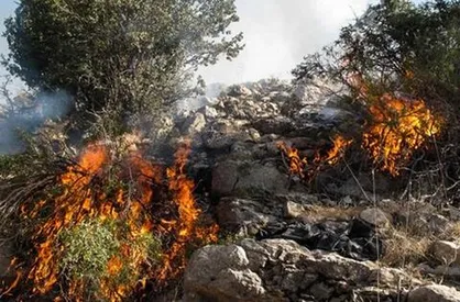 مهار آتش&zwnj;سوزی در کوه رنج ممسنی فارس