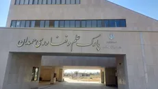دفتر بنیاد برکت در پارک علم و فناوری همدان ایجاد می‌شود