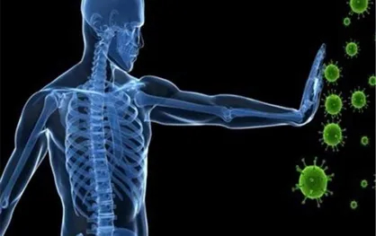 با این ۱۰ خوراکی سیستم ایمنی بدن را افزایش دهید