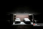 dgs