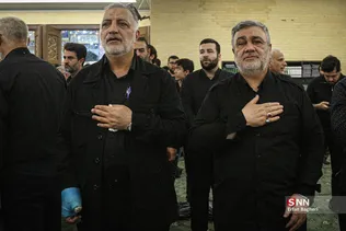 دبب